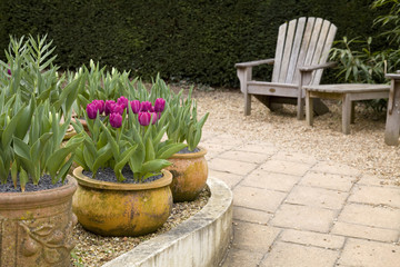 Garden scene with pot plants and chair