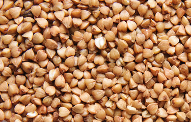 buckwheat;
