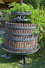 Wine Manufacture