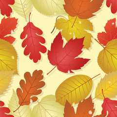 Fototapeta premium Autumn
