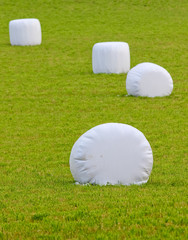 straw bales wrapped in plastic