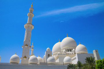 Wonderful mosque in Abu Dhabi