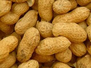 Peanuts