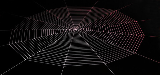 painted spiderweb