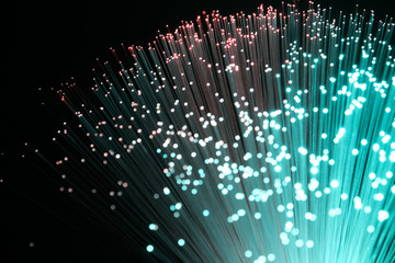 plastic optical fibers