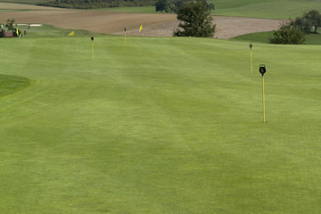 Obraz premium golf scenery at summer time