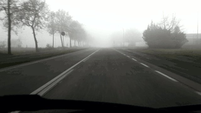 Autofahrt bei Nebel