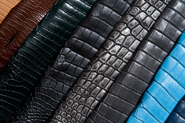 Rainbow of leather