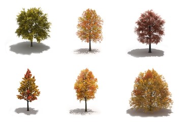 3d autumn trees pack with shadows