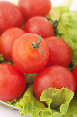 tomato and lettuce close up