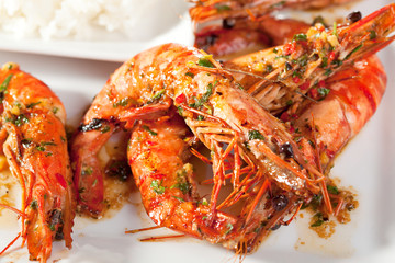 Tiger Prawn