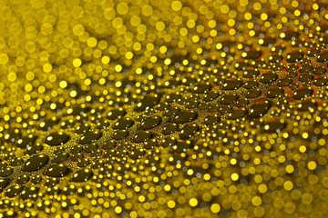 Beautiful drops of water