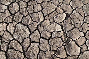 Cracked lifeless soil