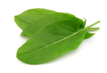 Sorrel leaves