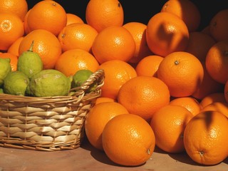 Oranges and limes still life.