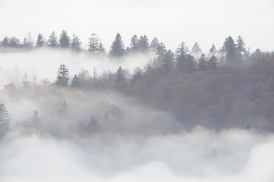 Nebelstimmung © Xaver Klaussner