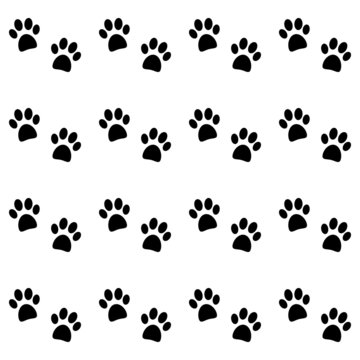 Background with black paw prints