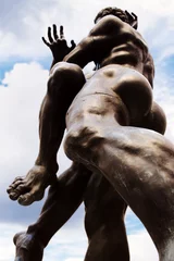Fototapete Bronze statue of two wrestlers © vali_111