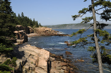 Obraz premium Acadia Shore, Acadia-Nationalpark, Maine, USA