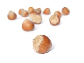 hazelnuts