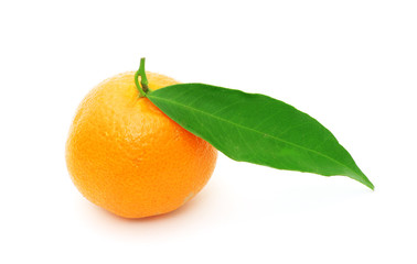 tangerine