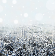 Frozen meadow and snowy background