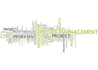 Projektmanagement