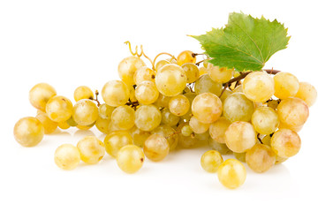 fresh grape green leaf isolated on white background