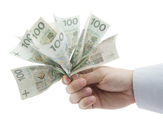 Polish money in hand. Clipping path included.