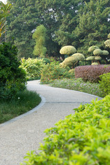 Obraz premium a helthy green strolling path