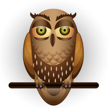 Funny owl on branch