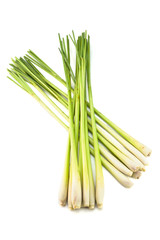 Fresh Lemon Grass