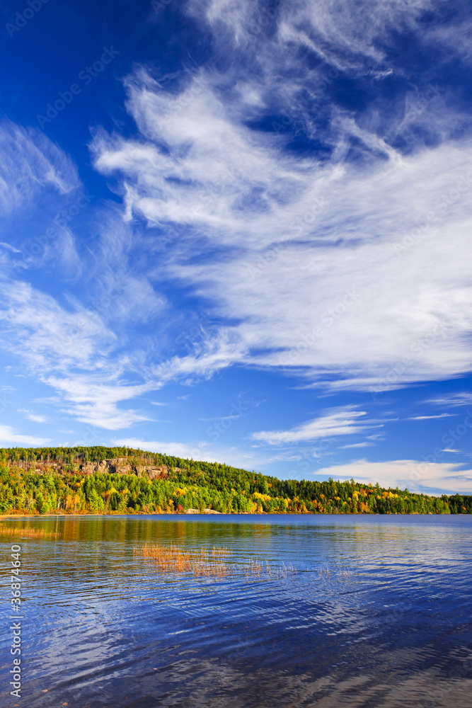 Poster fall forest and lake