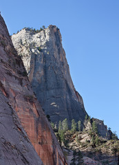 Magnificent white cliff of Zion National Park.