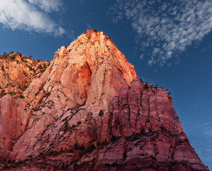 Just as the sun rises at Zion National Park.