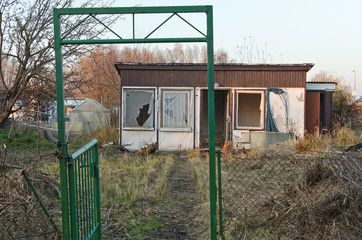 allotment garden - study 1
