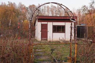 allotment garden - study 7
