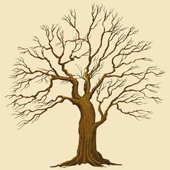 Big Tree vector illustration
