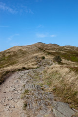 mountain path in Bieszczady