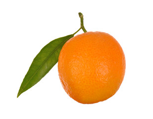 one orange with leaf