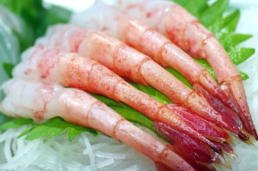 甘エビ
