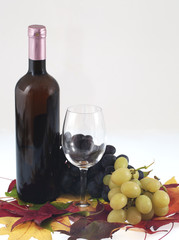 Bottiglia di vino con grappoli di uva