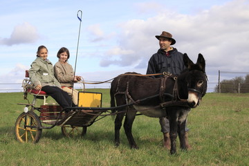 attelage âne avec enfants