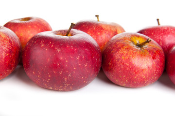 Rote Äpfel aus dem Garten