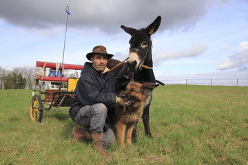 meneur attelage âne avec chien-2