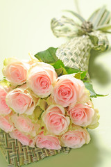 Beautiful Roses
