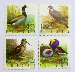 seria znaczków z ptakami, Polska - obrazy, fototapety, plakaty