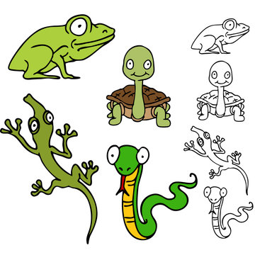 Reptile and Frog Set