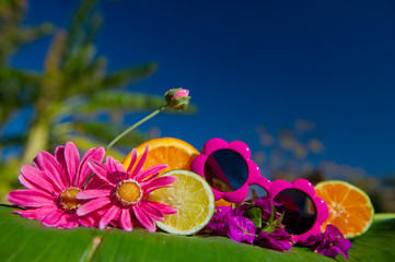 Tropical summer