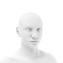 3d Head
